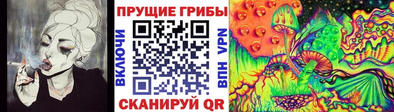 Галлюциногенные грибы мицелий  mega tor  Афипский 